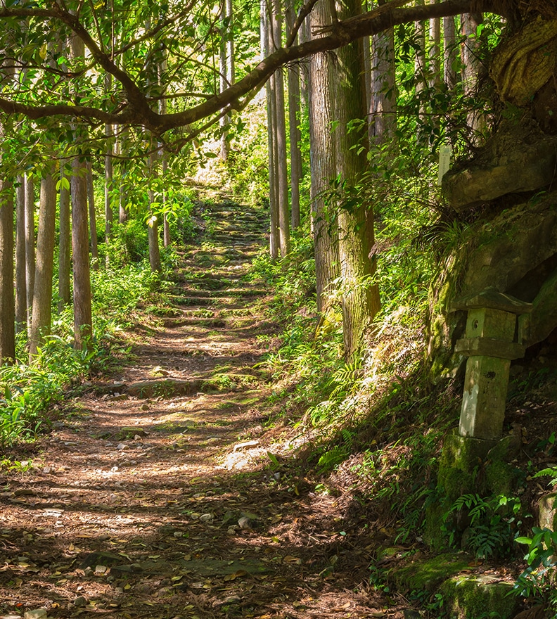 Kumano Kodo